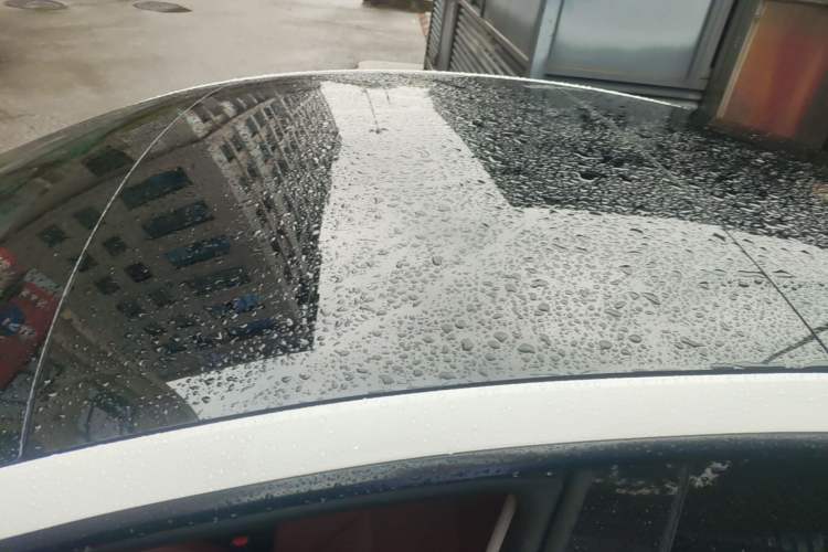 Used Tesla Model 3 2025 Rear-Wheel-Drive Version Roof