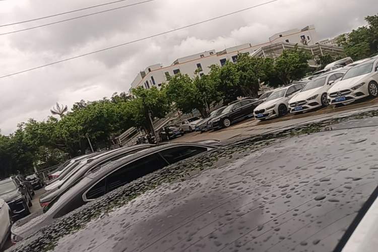 Used Tesla Model 3 2025 Rear-Wheel-Drive Version Roof