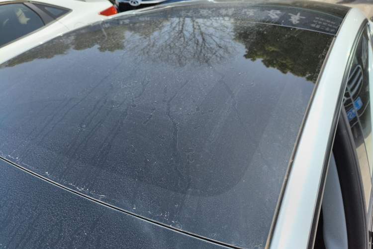 Used Tesla Model 3 2025 Model Revised Rear-Wheel-Drive Version Roof