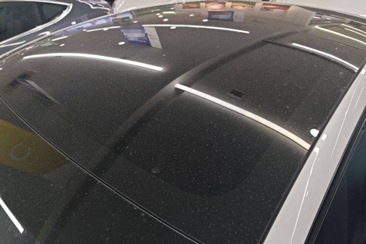 Used Tesla Model 3 2025 Model Revised Long-Range All-Wheel-Drive Version Roof