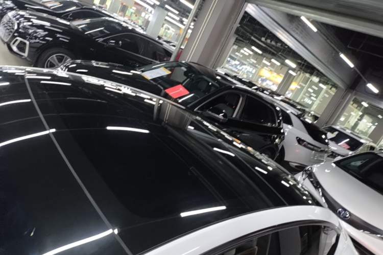 Used Tesla Model 3 2025 Rear-Wheel-Drive Version Roof