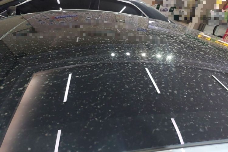 Used Tesla Model 3 2025 Rear-Wheel-Drive Version Roof