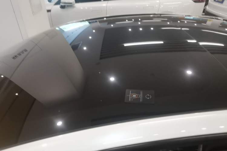 Used Tesla Model 3 2025 Rear-Wheel-Drive Version Roof