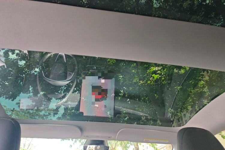 Used Tesla Model 3 2025 Rear-Wheel-Drive Version Headliner