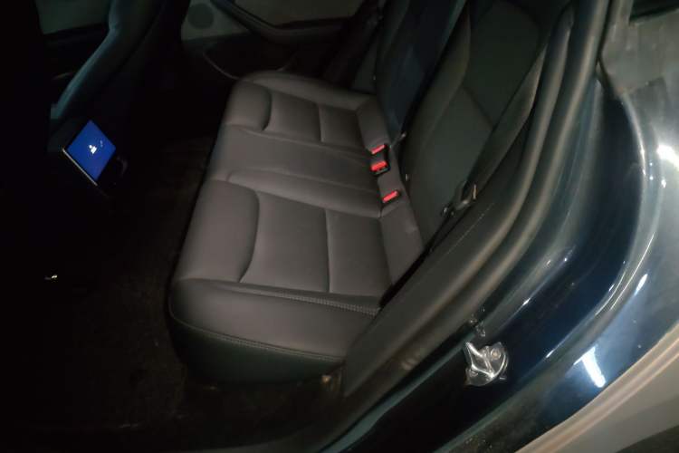 Used Tesla Model 3 2025 Rear-Wheel-Drive Version Left Rear Seat