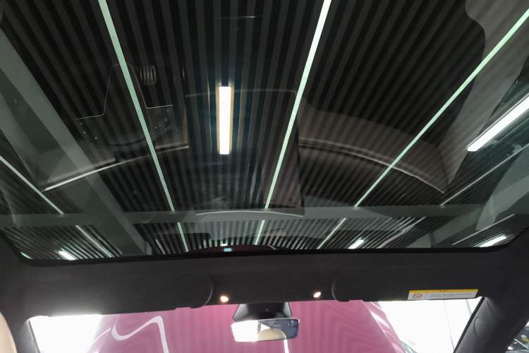 Used Tesla Model S 2023 Dual-Motor All-Wheel-Drive Version Headliner