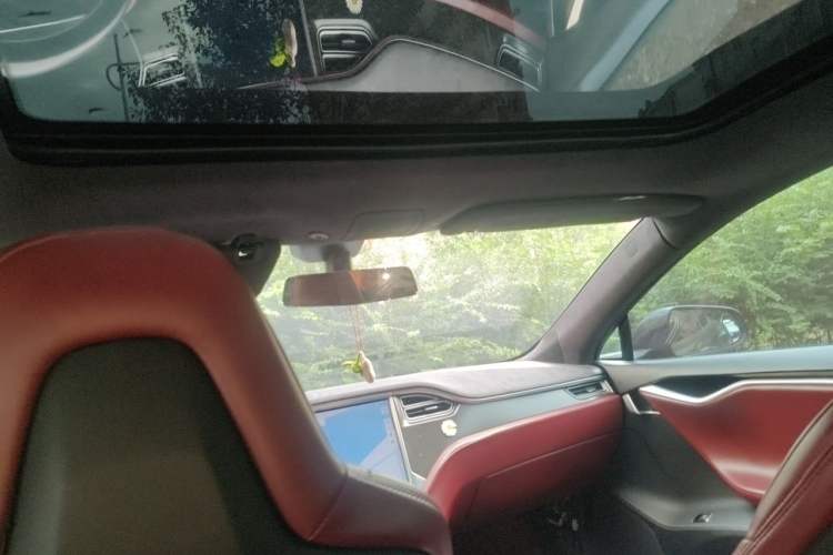 Used Tesla Model S  Headliner