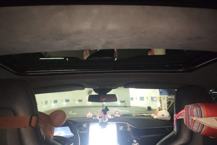 Used Tesla Model S 2016 S 75D Headliner