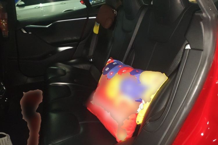 Used Tesla Model S 2016 S 75D Left Rear Seat