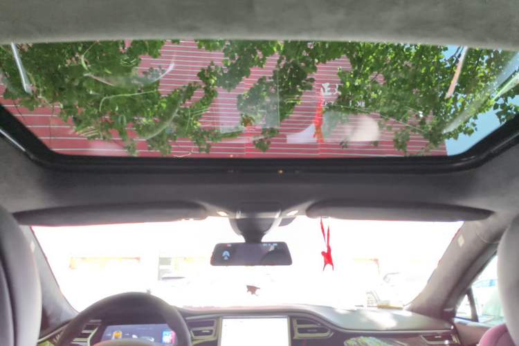 Used Tesla Model S  Headliner