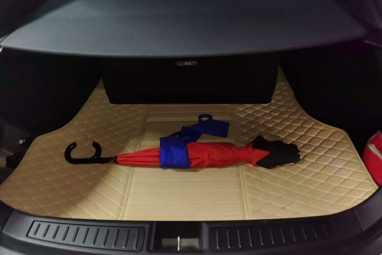 Used Tesla Model S 2016 S 75D Trunk