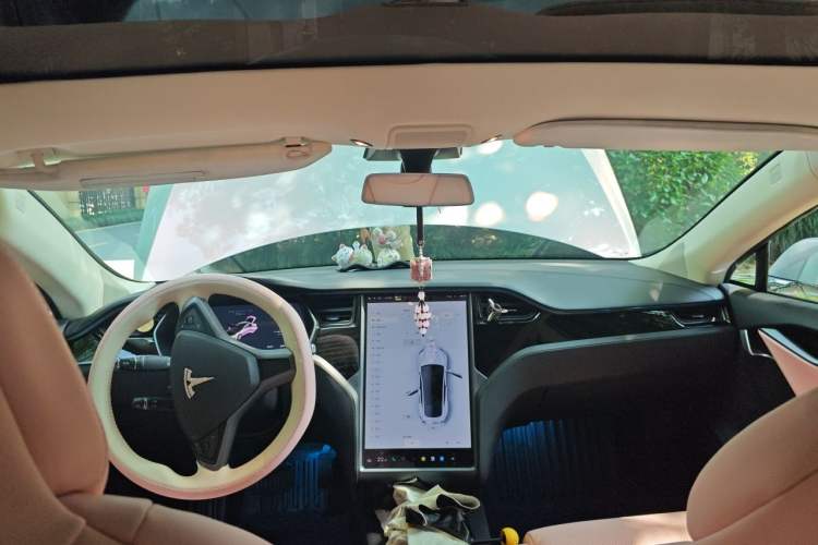 Used Tesla Model S 2017 S 75D Standard Range Edition Headliner