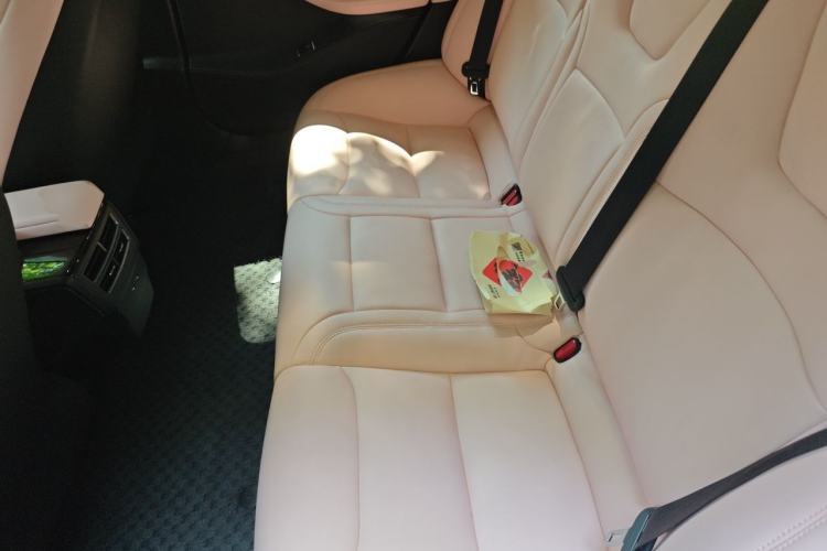 Used Tesla Model S 2017 S 75D Standard Range Edition Left Rear Seat