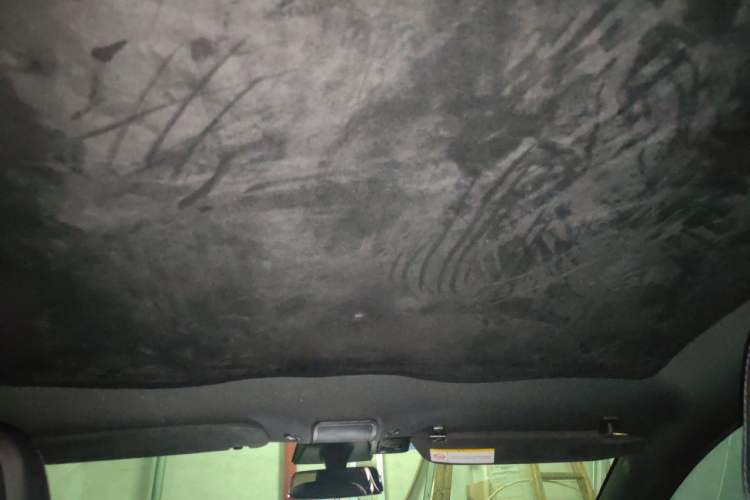 Used Tesla Model S 2017 S 75D Standard Range Edition Headliner