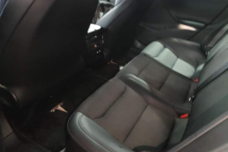 Used Tesla Model S 2017 S 75D Standard Range Edition Left Rear Seat