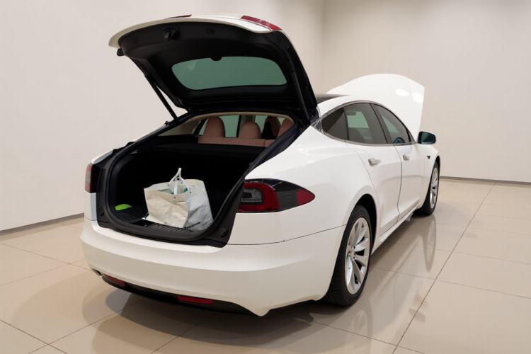 Used Tesla Model S 2017 S 75D Standard Range Edition Exterior 5