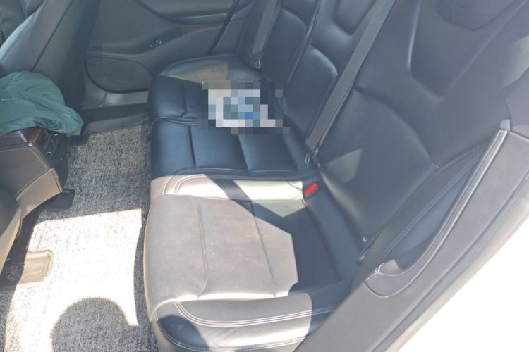Used Tesla Model S 2017 S 75D Standard Range Edition Left Rear Seat