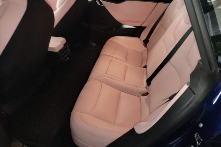 Used Tesla Model S 2017 S 75D Standard Range Edition Left Rear Seat