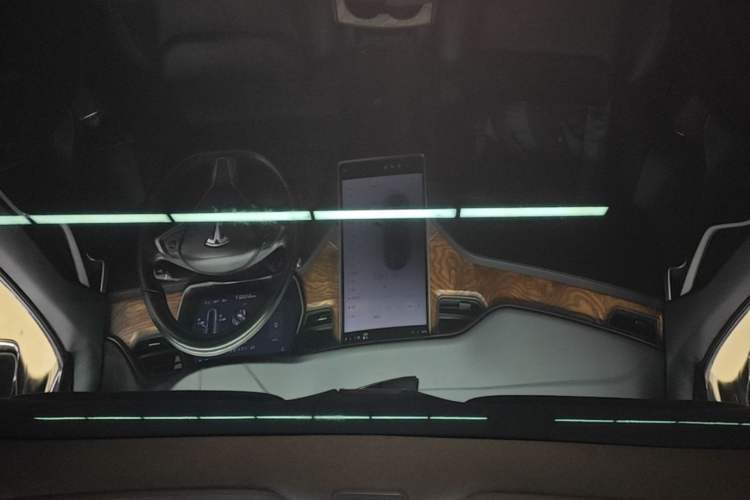 Used Tesla Model S 2019 Long-Range Version Headliner