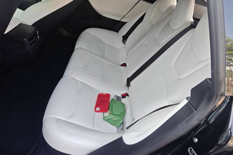 Used Tesla Model S 2019 Performance High-Performance Edition Left Rear Seat