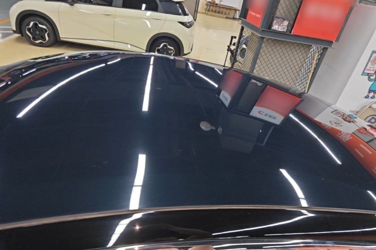 Used Tesla Model S 2019 Long-Range Version Roof