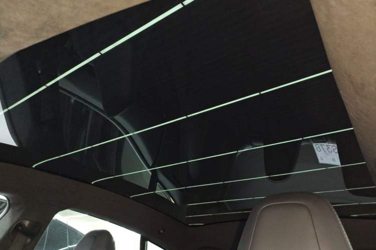 Used Tesla Model S 2019 Long-Range Version Headliner