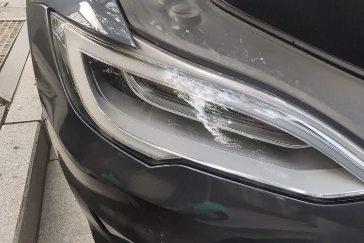 Used Tesla Model S 2019 Performance High-Performance Edition Exterior 6
