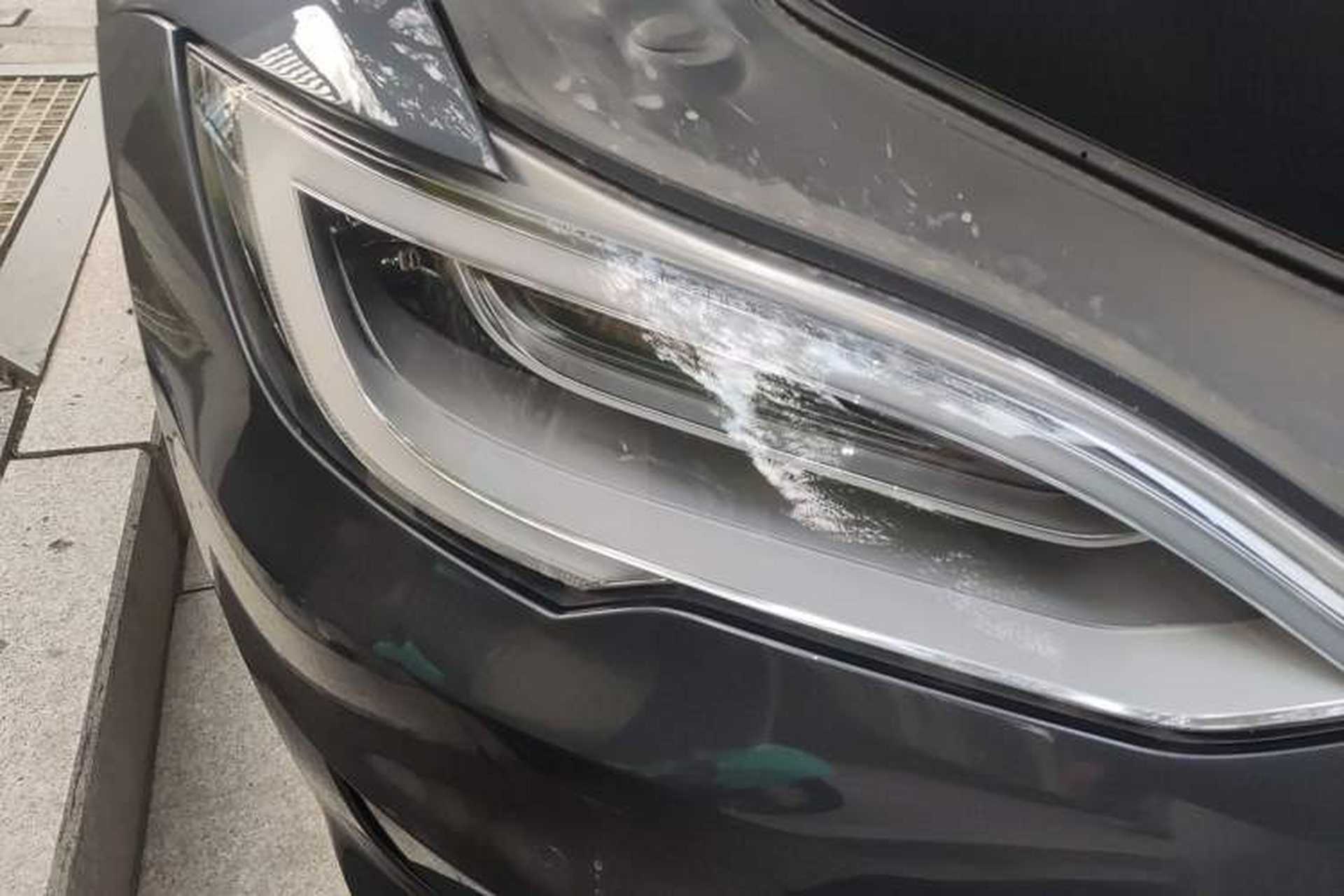 Used Tesla Model S 2019 Performance High-Performance Edition Exterior 6