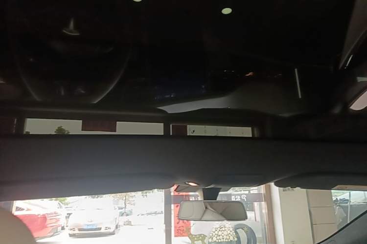 Used Tesla Model S 2019 Performance High-Performance Edition Headliner