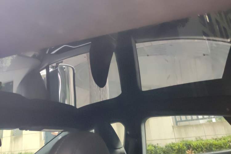 Used Tesla Model S 2019 Performance High-Performance Edition Headliner