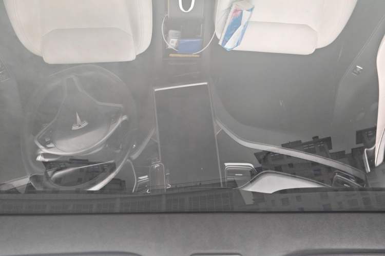 Used Tesla Model S 2019 Performance High-Performance Edition Headliner