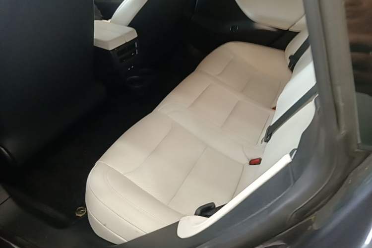 Used Tesla Model S 2019 Performance High-Performance Edition Left Rear Seat