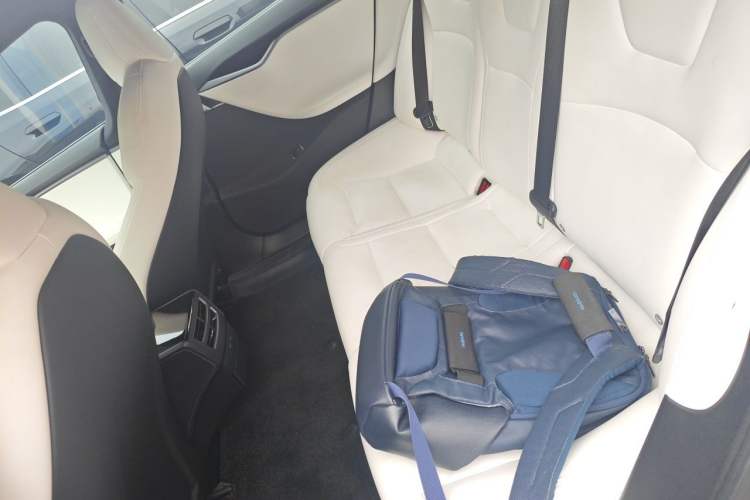 Used Tesla Model S 2019 Performance High-Performance Edition Left Rear Seat