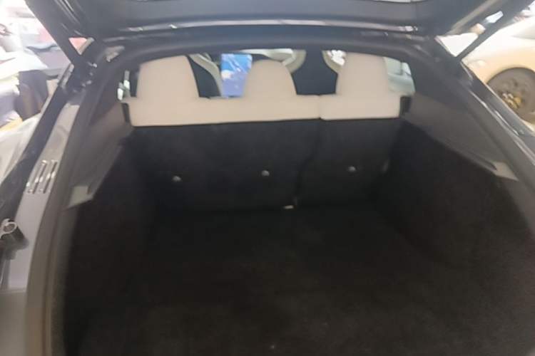 Used Tesla Model S 2019 Performance High-Performance Edition Trunk