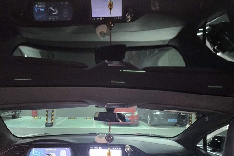 Used Tesla Model S 2019 Performance High-Performance Edition Headliner