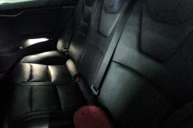 Used Tesla Model S 2019 Performance High-Performance Edition Left Rear Seat