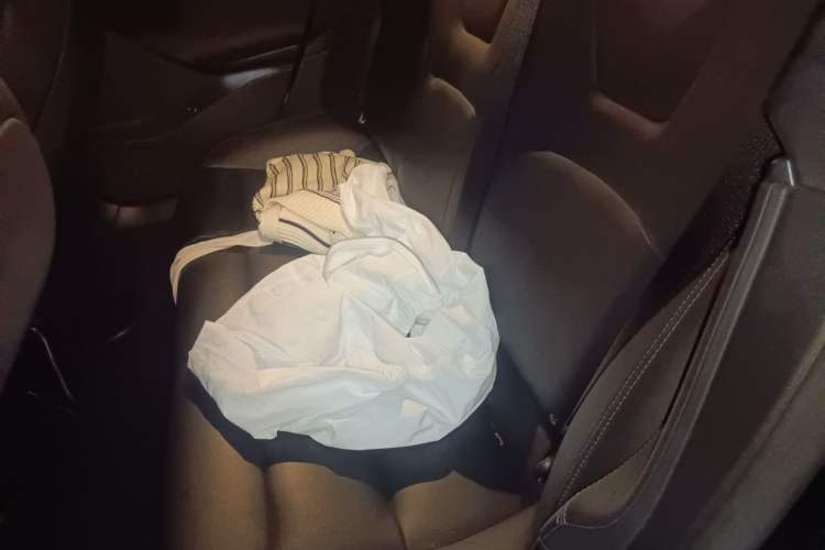 Used Tesla Model S 2019 Long-Range Version Left Rear Seat