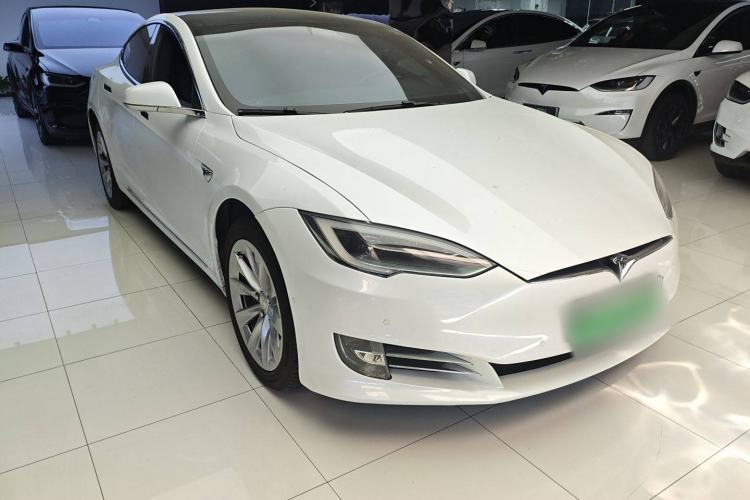 Used Tesla Model S 2019 Standard Range Version Exterior 1
