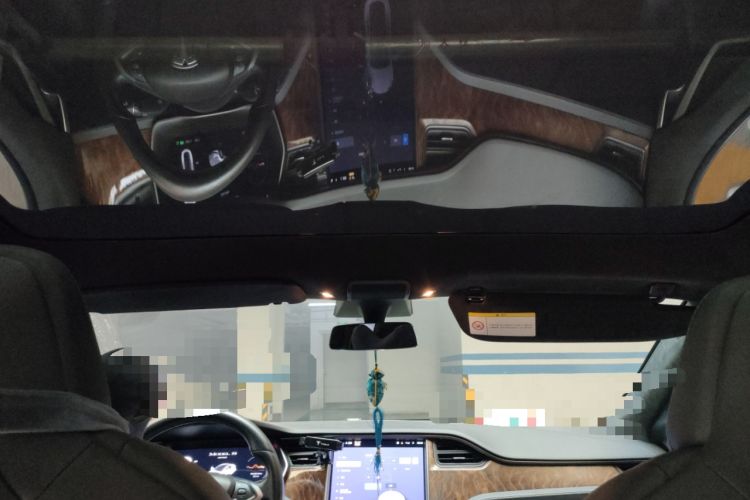 Used Tesla Model S 2019 Standard Range Version Headliner