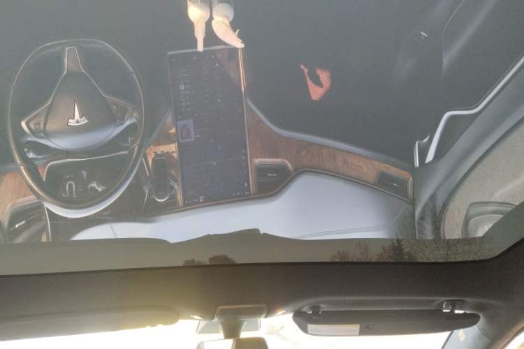 Used Tesla Model S 2019 Long-Range Version Headliner