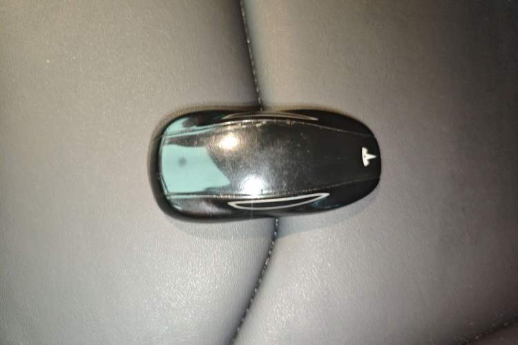Used Tesla Model S 2019 Standard Range Version Interior 1