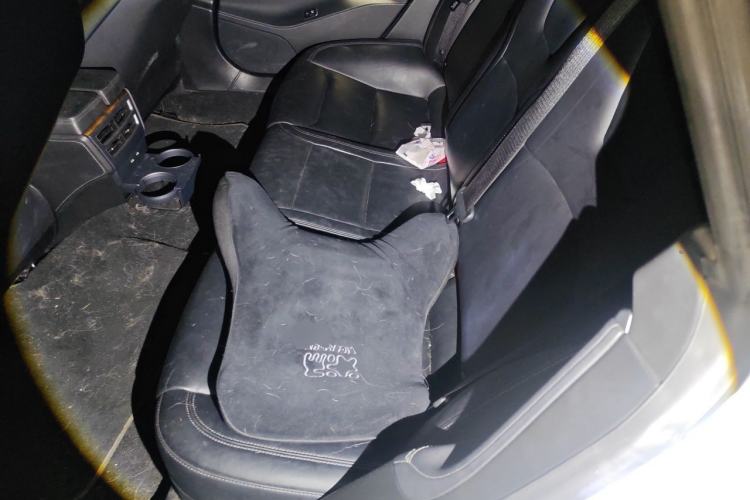 Used Tesla Model S 2019 Long-Range Version Left Rear Seat