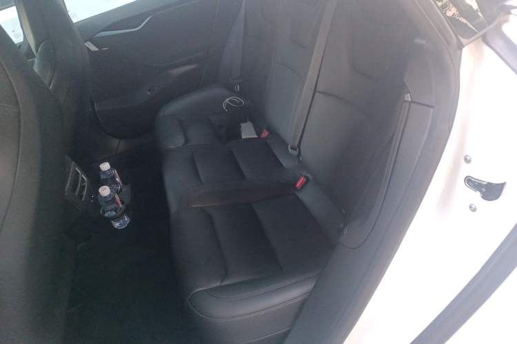 Used Tesla Model S 2019 Long-Range Version Left Rear Seat