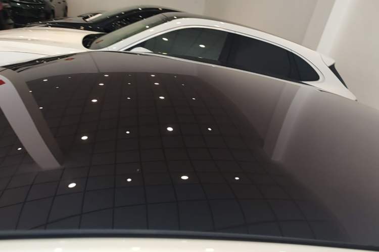 Used Tesla Model S 2019 Long-Range Version Roof