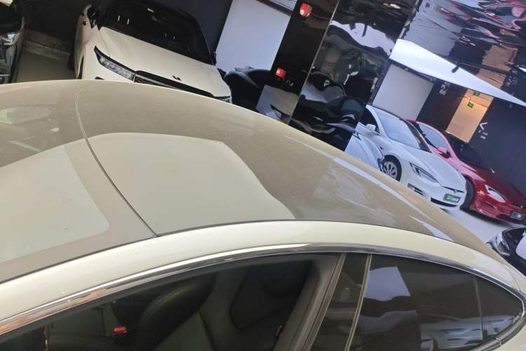 Used Tesla Model S 2019 Standard Range Version Roof