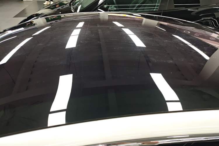 Used Tesla Model S 2019 Long-Range Version Roof