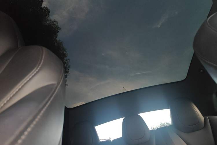 Used Tesla Model S 2020 Long-Range Upgrade Version Headliner