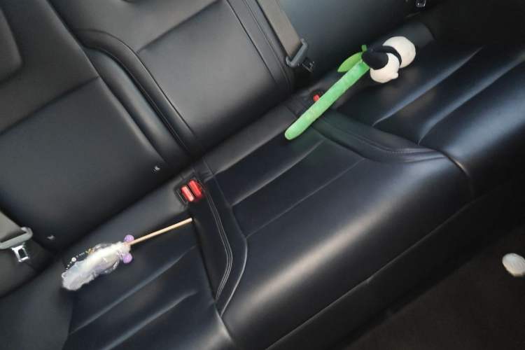 Used Tesla Model S 2020 Long-Range Upgrade Version Left Rear Seat