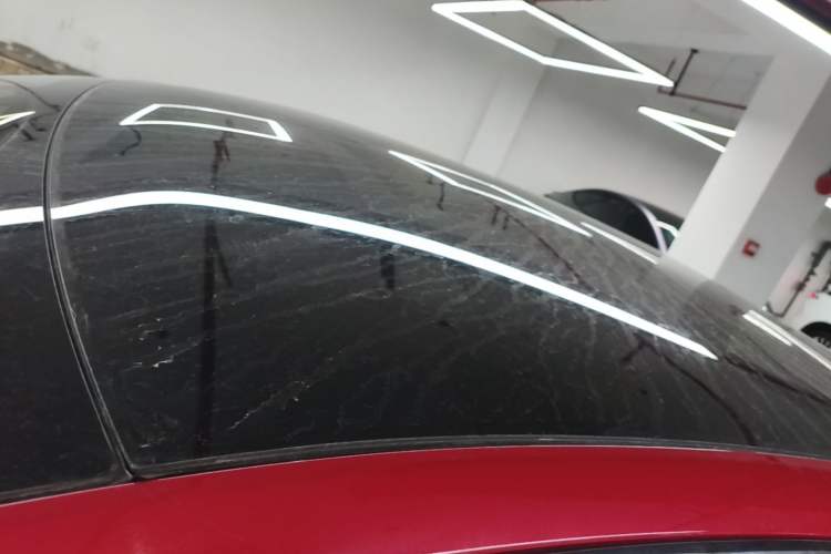 Used Tesla Model S 2020 Long-Range Upgrade Version Roof