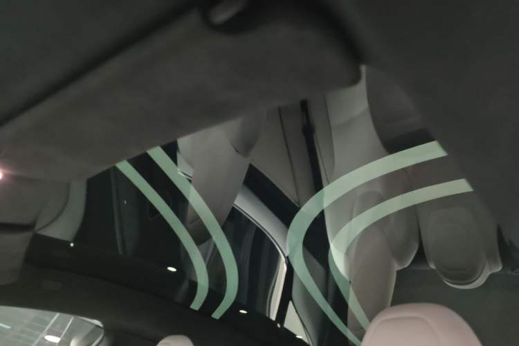 Used Tesla Model S 2023 Three-Motor All-Wheel-Drive Plaid Version Headliner